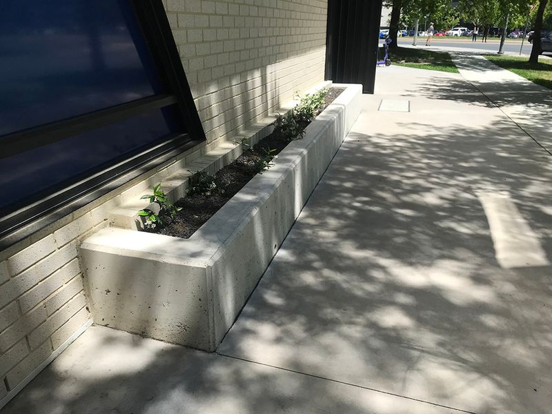 Torrens St Ledge 