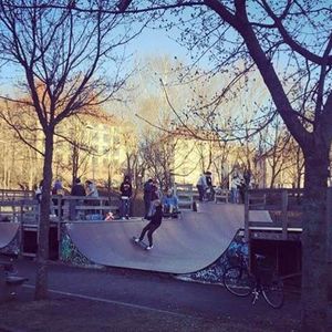 Torshov Mini Ramp