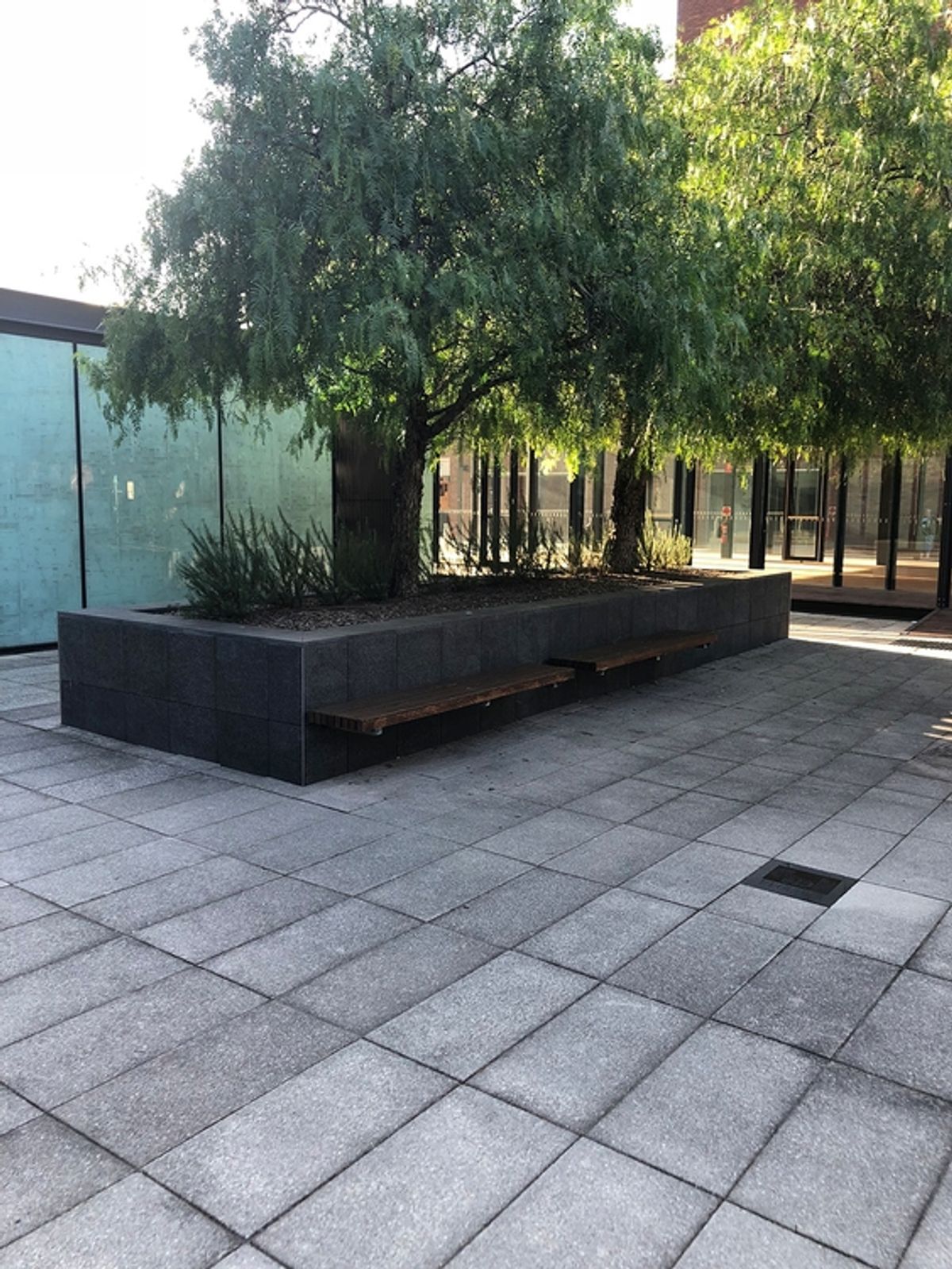 Registry Benches skate spot