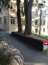 Bourke St Black Ledge