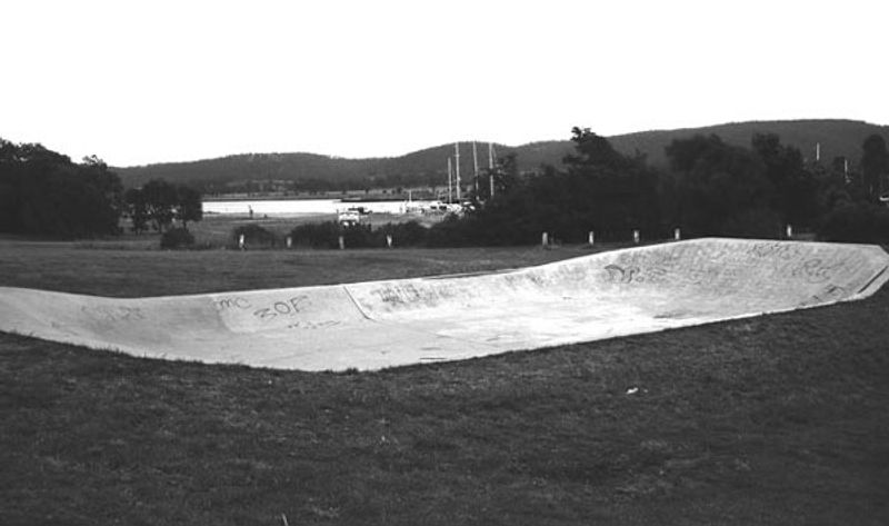 Triabunna Dish