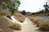 Trolley Ditch