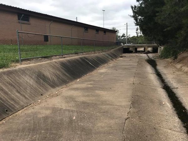 Pedder Ditch