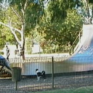Unley Vert Ramp