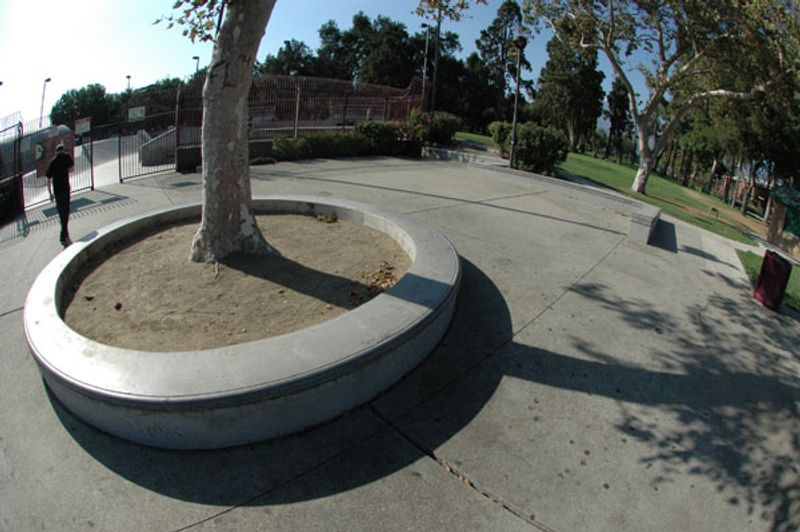 Upland
