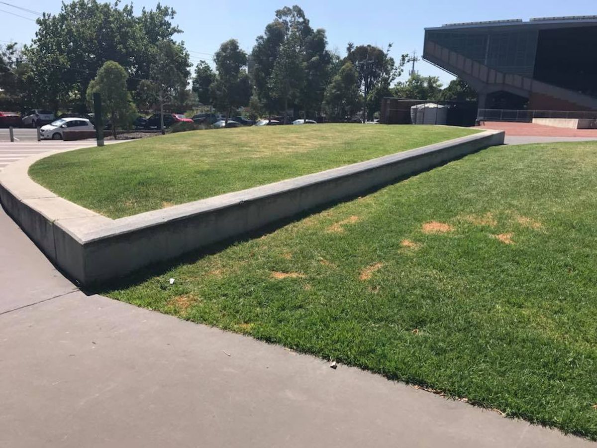 Victoria Park Long Ledge skate spot