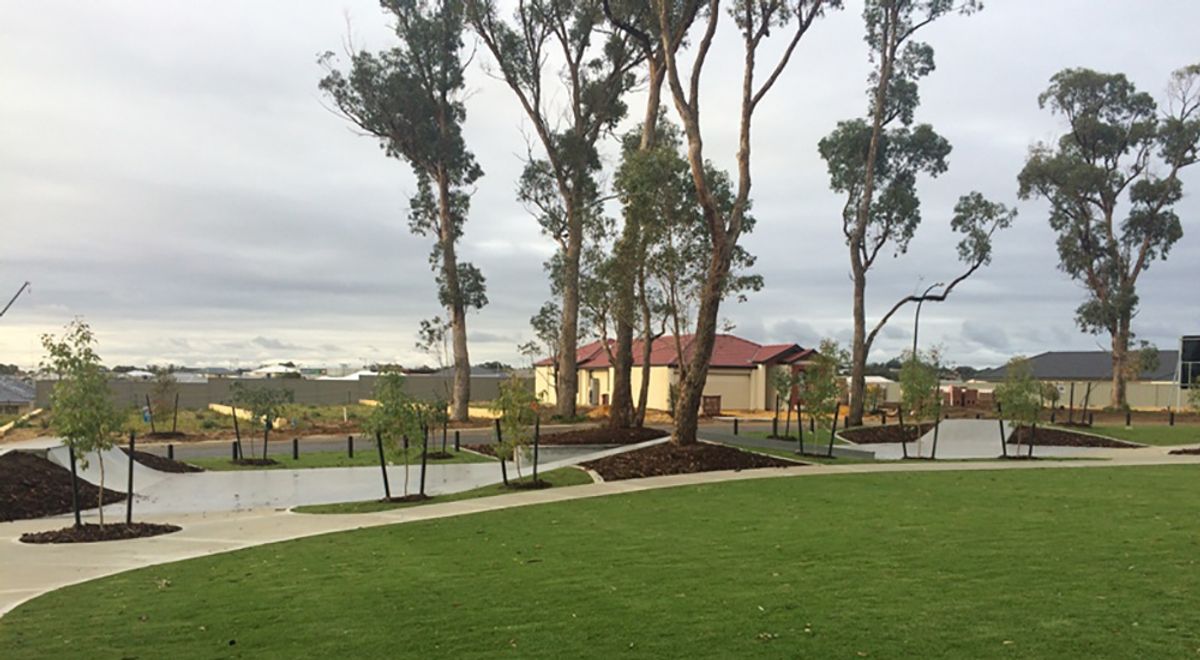 Wellard Skatepark