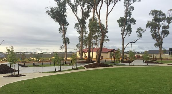 Wellard Skatepark