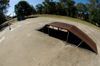 Violet Town Skatepark