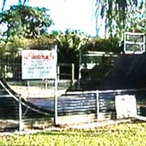 Wagga Ramp