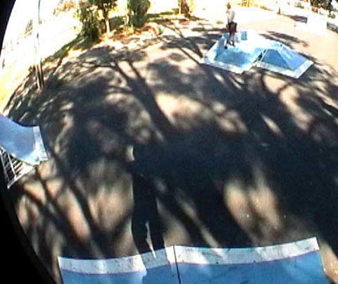 Wagin Skate Park photo 3