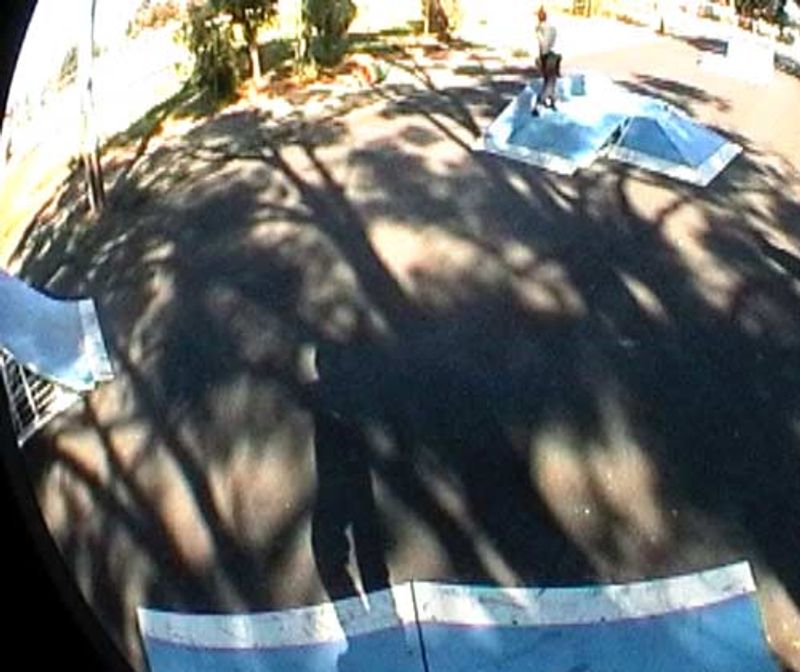 Wagin Skate Park