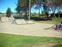 Wallsend Skatepark