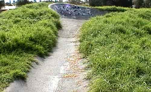 Warilla Snake Run