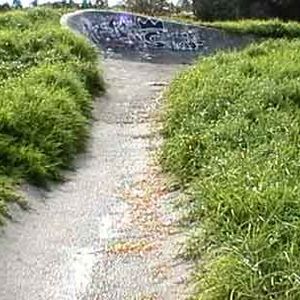 Warilla Snake Run