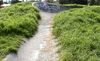 Warilla Snake Run