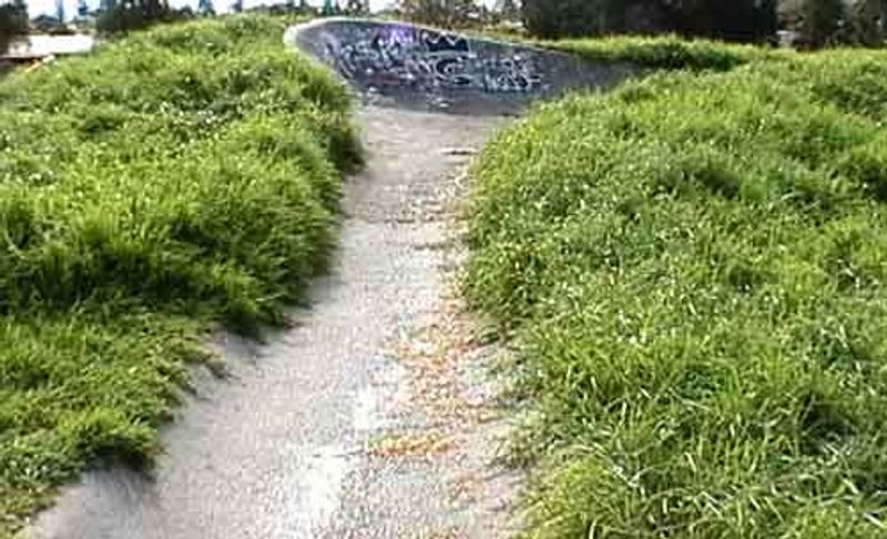 Warilla Snake Run