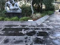 Sculpture Garden Hip