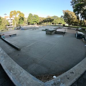 Waterloo Fernside Skate P