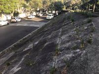 Park Bank