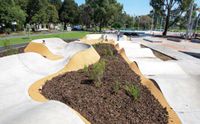 Wellington Square Pump Track