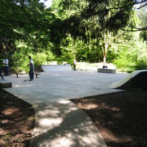 West Linn Mini 