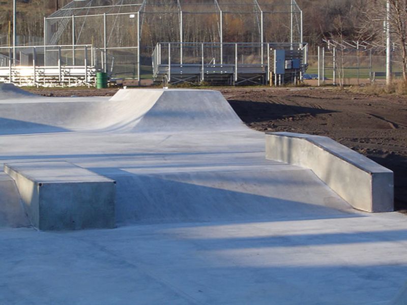 Wheeler Field Skate Park