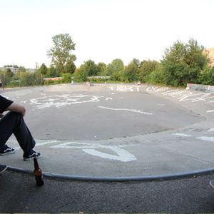 Wiesen Park Skatepark