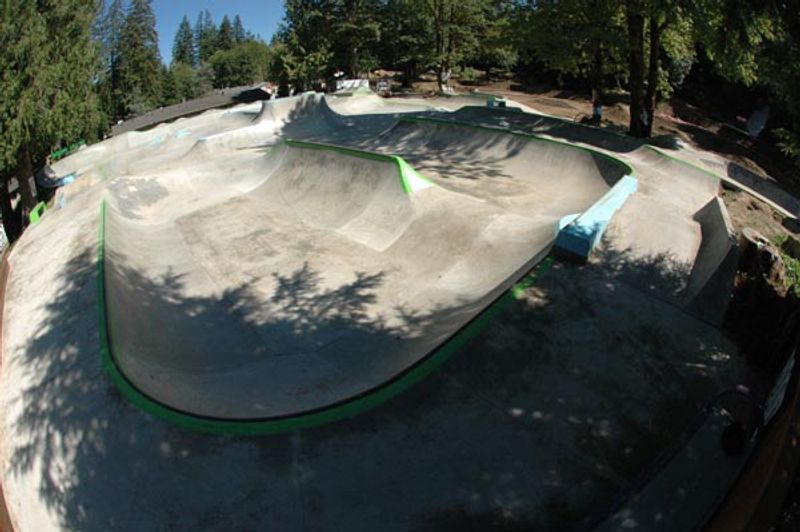Windells Skate Camp