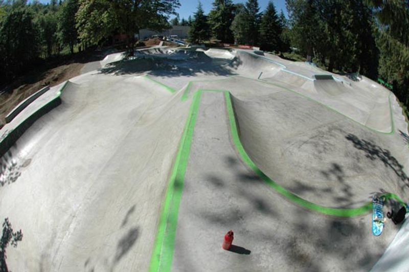 Windells Skate Camp