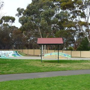 Woodanilling Skatepark