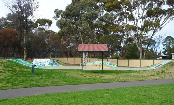 Woodanilling Skatepark