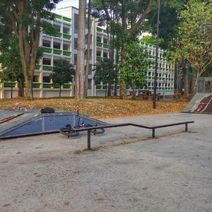 Woodlands Skatepark