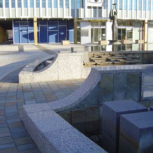 Fountain Trannies 
