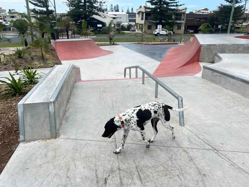 Yamba Skatepark