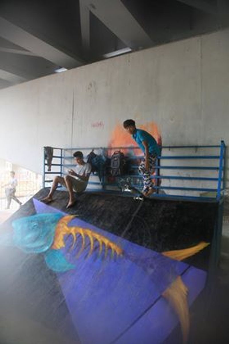 Bahan Tsp Skate Park 
