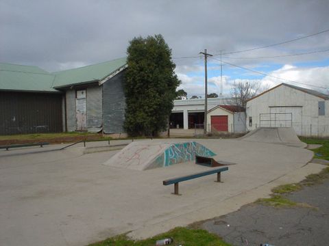Young Skatepark photo 4