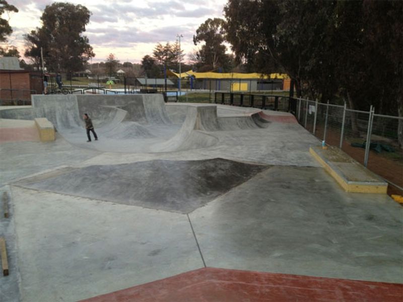 Young New Park