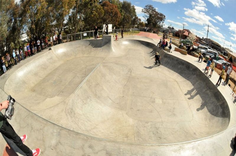 Young New Park