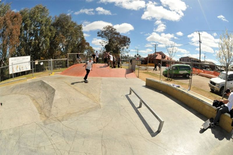 Young New Park