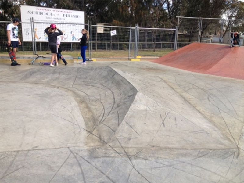 Young New Park